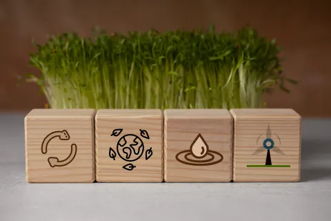 about_ses_thumbnail_2